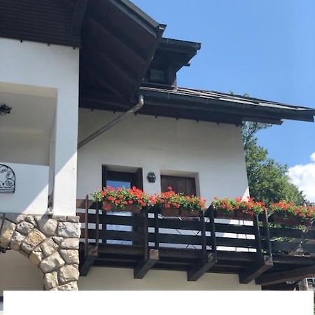 La Casa Di Monte Ricco Apartamento Pieve di Cadore Exterior foto