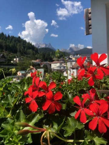 La Casa Di Monte Ricco Apartamento Pieve di Cadore Exterior foto