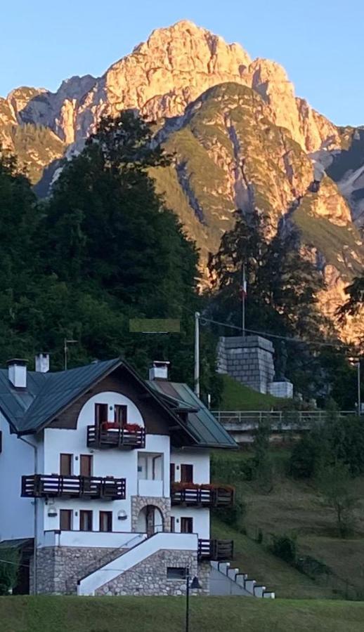 La Casa Di Monte Ricco Apartamento Pieve di Cadore Exterior foto