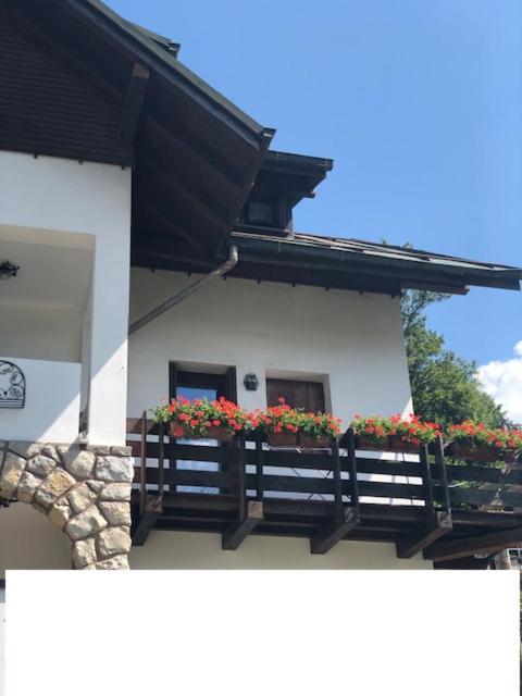 La Casa Di Monte Ricco Apartamento Pieve di Cadore Exterior foto