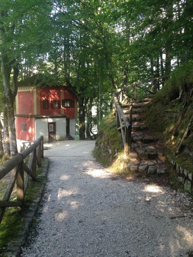 La Casa Di Monte Ricco Apartamento Pieve di Cadore Exterior foto